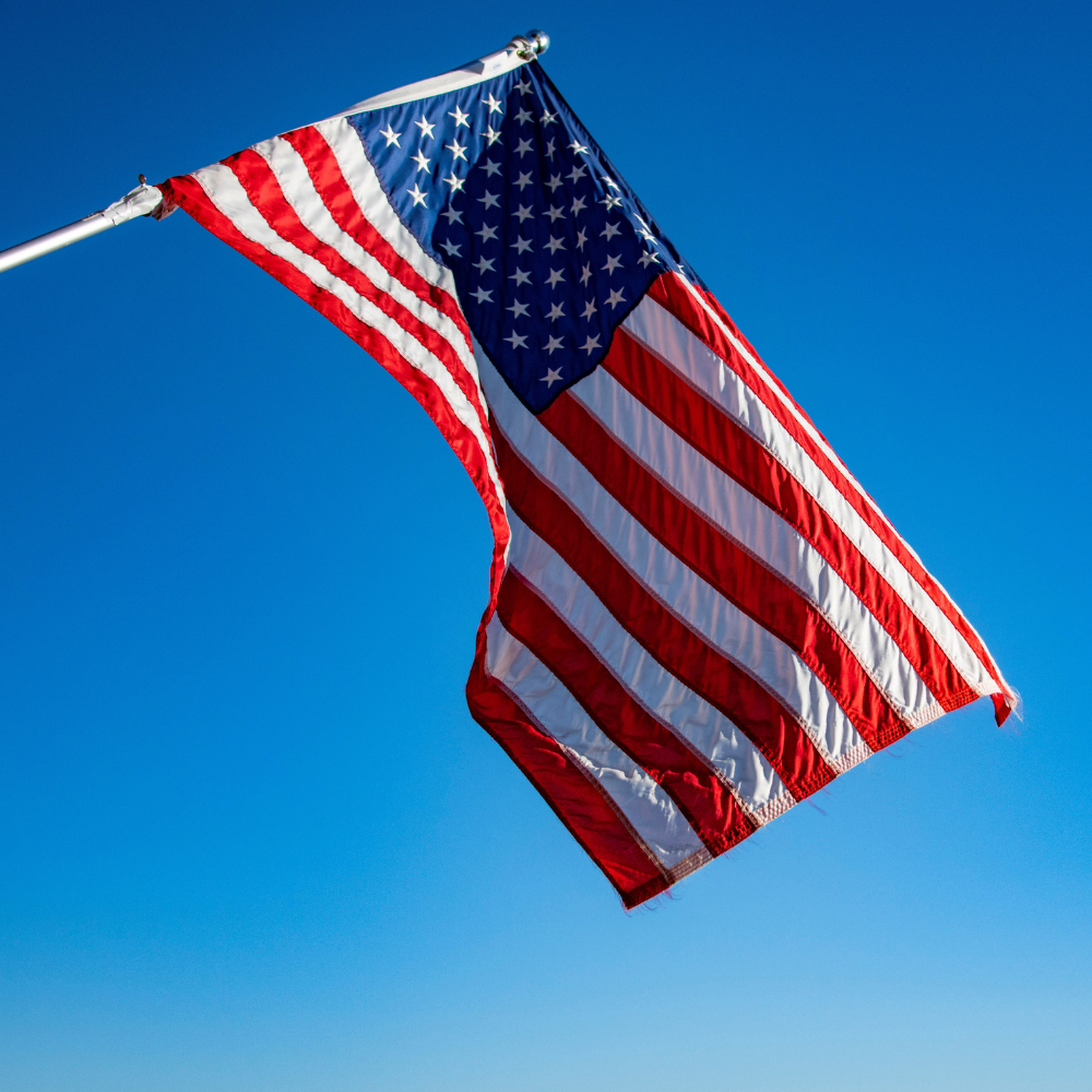 Immigration Consultant